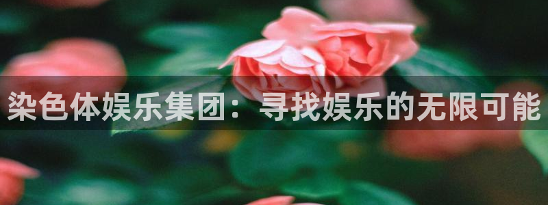 焦点娱乐集团总部：染色体娱乐集团：寻找娱乐的无限可能