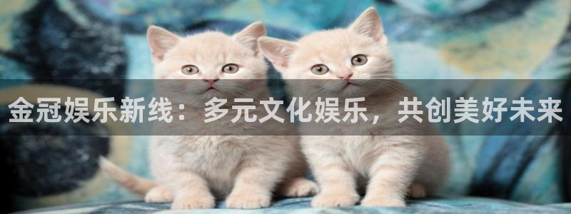 焦点娱乐2平台登录：金冠娱乐新线：多元文化娱乐，共创美好未来