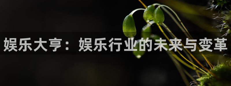 焦点娱乐5注册：娱乐大亨：娱乐行业的未来与变革