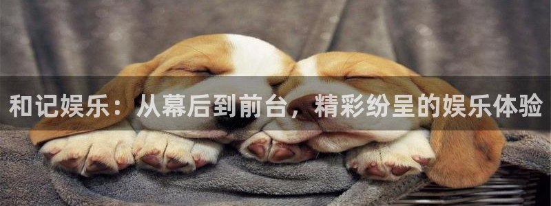 焦点娱乐2登录地址：和记娱乐：从幕后到前台，精彩纷呈的娱乐体验