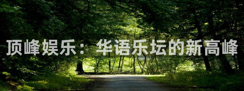 焦点娱乐网站平台：顶峰娱乐：华语乐坛的新高峰