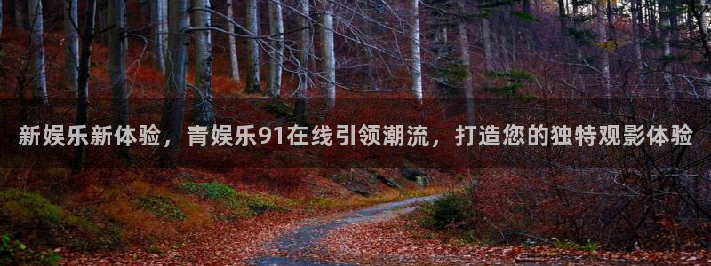 焦点娱乐平台注册入口：新娱乐新体验，青娱乐91在线引领潮流，打造您的独特观影体验