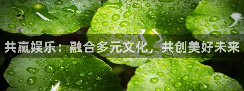焦点娱乐pg：共赢娱乐：融合多元文化，共创美好未来
