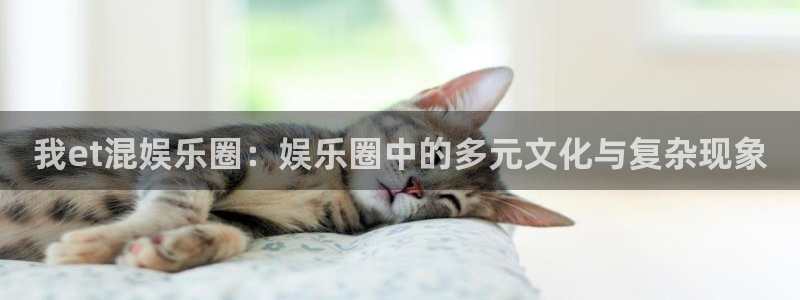 焦点娱乐麻将胡了：我et混娱乐圈：娱乐圈中的多元文化与复杂现象