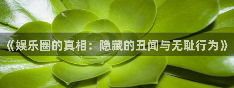 焦点娱乐是正规平台吗：《娱乐圈的真相：隐藏的丑闻与无耻行为》