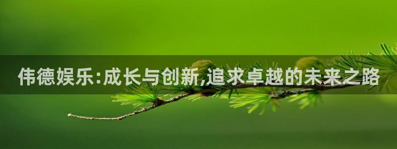 焦点娱乐加拿大app预测：伟德娱乐:成长与创新,追求卓越的未来之路