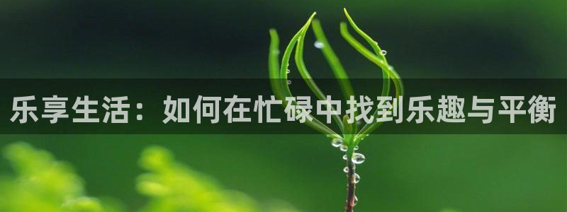焦点娱乐注册链接入口：乐享生活：如何在忙碌中找到乐趣与平衡
