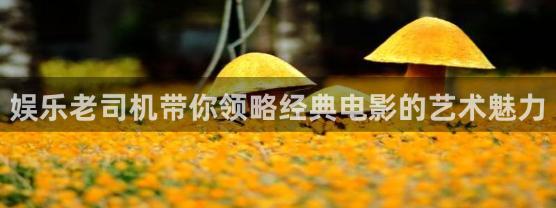 焦点娱乐平台官网：娱乐老司机带你领略经典电影的艺术魅力