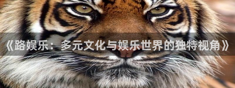 pg焦点娱乐平台下载入口：《路娱乐：多元文化与娱乐世界的独特视角》