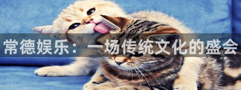 焦点娱乐平台官网登录入口：常德娱乐：一场传统文化的盛会