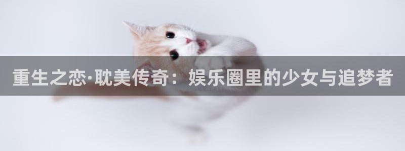 焦点娱乐体育和杏耀是哪个公司的：重生之恋·耽美传奇：娱乐圈里的少女与追梦者