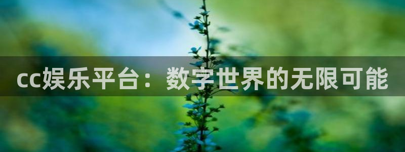 焦点娱乐注册入口：cc娱乐平台：数字世界的无限可能