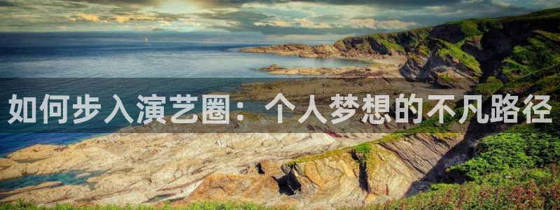 佛山市南海焦点娱乐机电仪器有限公司：如何步入演艺圈：个人梦想的不凡路径