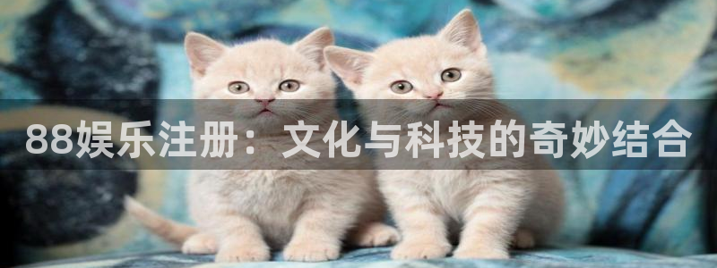 焦点娱乐5：88娱乐注册：文化与科技的奇妙结合