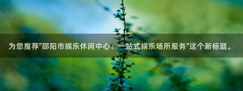 焦点娱乐体育游戏