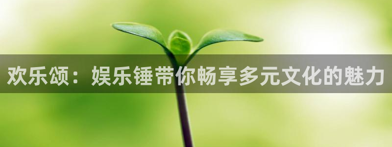 焦点娱乐体育3：欢乐颂：娱乐锤带你畅享多元文化的魅力