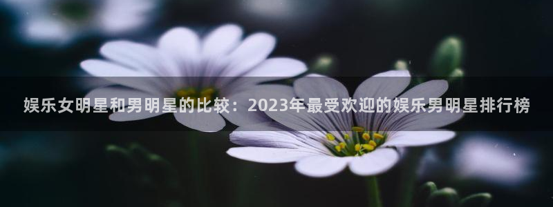 焦点娱乐招商：娱乐女明星和男明星的比较：2023年最受欢迎的娱乐男明星排行榜