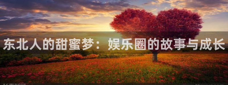焦点娱乐体育网页版入口：东北人的甜蜜梦：娱乐圈的故事与成长