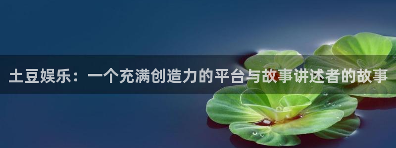 焦点娱乐是什么：土豆娱乐：一个充满创造力的平台与故事讲述者的故事