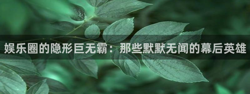 焦点娱乐平台下载入口：娱乐圈的隐形巨无霸：那些默默无闻的幕后英雄