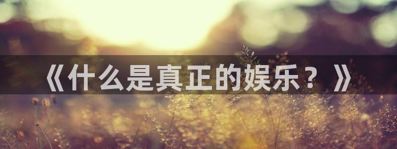 焦点娱乐体育代理：《什么是真正的娱乐？》