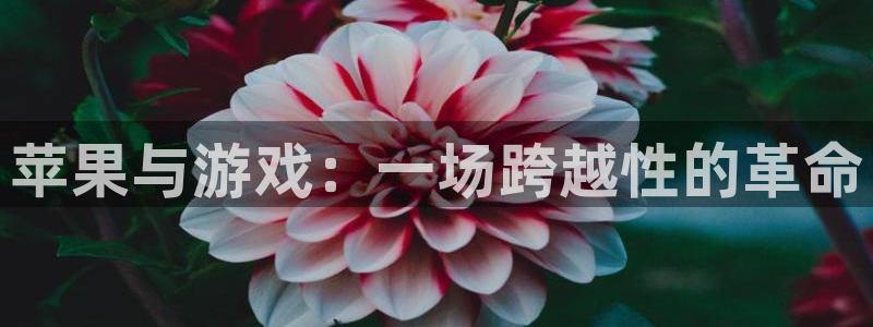 焦点娱乐平台官网：苹果与游戏：一场跨越性的革命